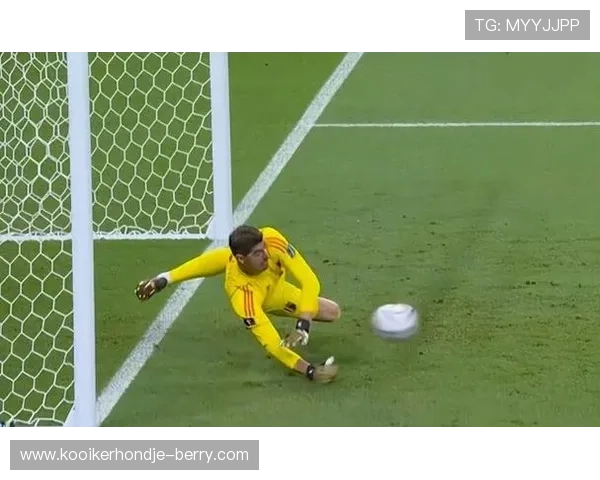 库尔图瓦世界杯表现回顾：发挥稳定，关键扑救助力球队