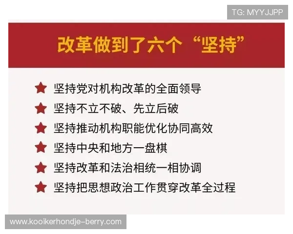 个人表现与团队成绩：B费的生涯评估