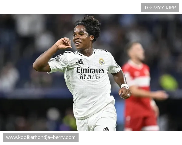 帕尔梅拉斯时期荣誉：恩德里克的早期成就