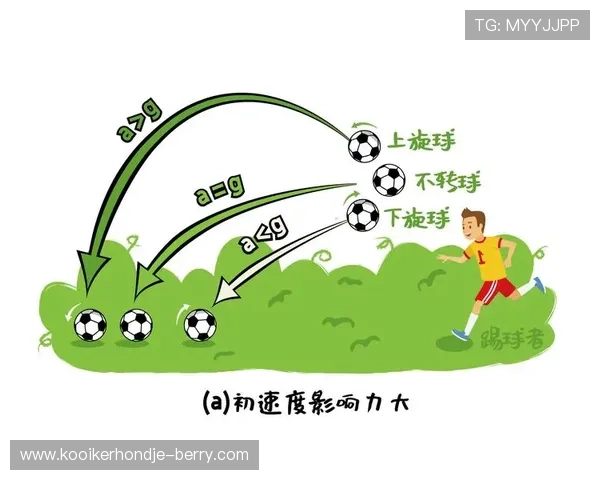 从纯破坏到简单出球：帕利尼亚的数据进化