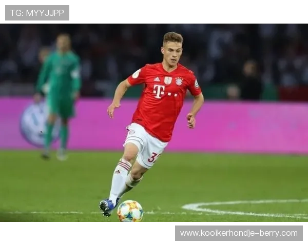 哈兰德传球视野局限性解析