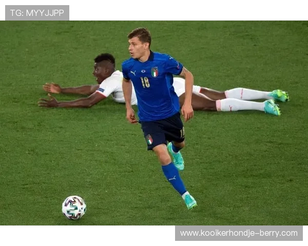 巴尔韦德与巴雷拉中场覆盖范围及活动区域对比分析 巴尔韦德与巴雷拉中场覆盖范围及活动区域对比分析