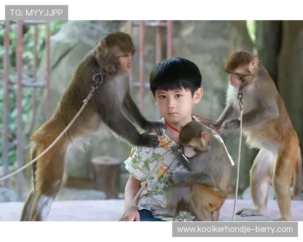 李宗伟训练间隙点外卖，这生活节奏感觉和明星差不多哈哈