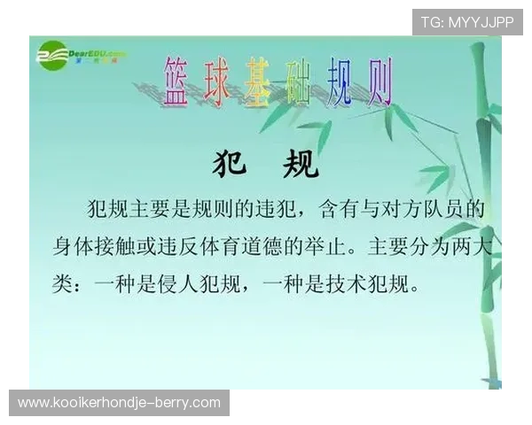 篮球比赛球队犯规累计规则解析：关键判定标准